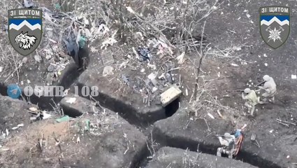 Video herunterladen: Russian soldiers surrender to Ukrainian troops circling them in trenches