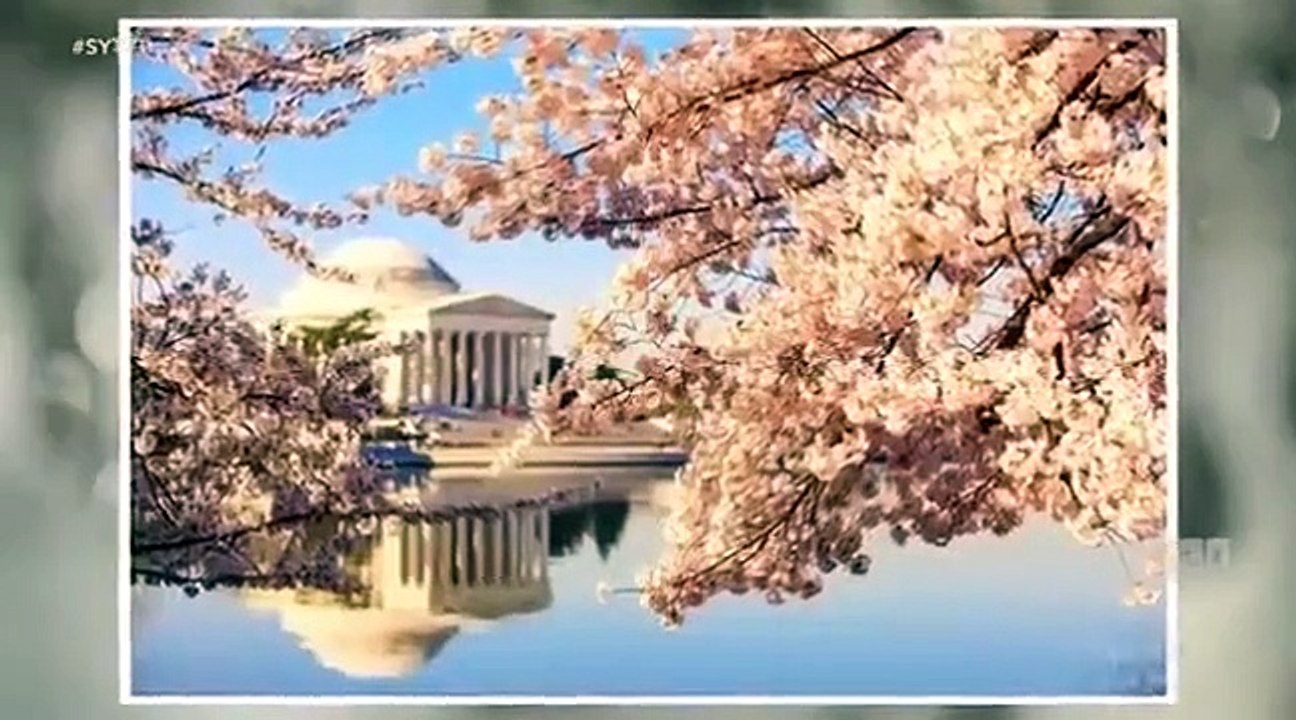 Say Yes to the Dress - Se15 - Ep14 HD Watch HD Deutsch