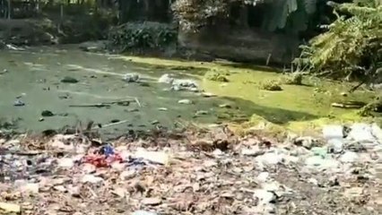 উঃ২৪পরগনাঃ পুকুর ভরাটের সঙ্গে প্রভাবশালীরা জড়িয়ে, স্বীকার তৃণমূল নেতার
