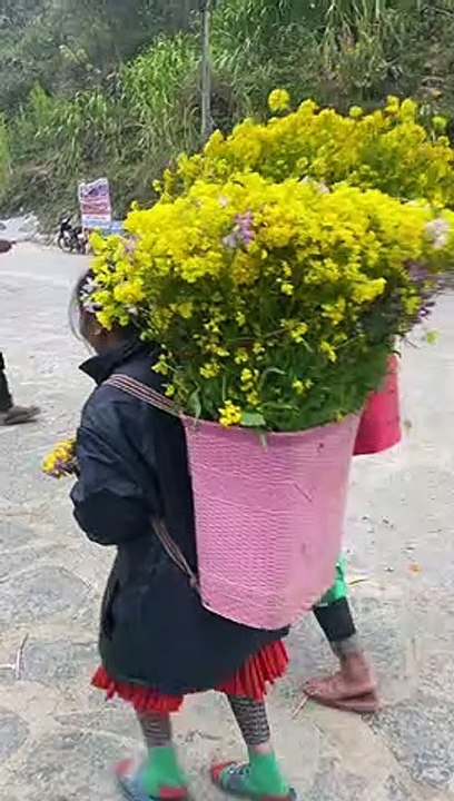 Clip: Về Hà Giang, Phúng Phính ngày ngày vui chơi cùng bạn bè