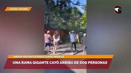 Una rama gigante cayó arriba de dos personas