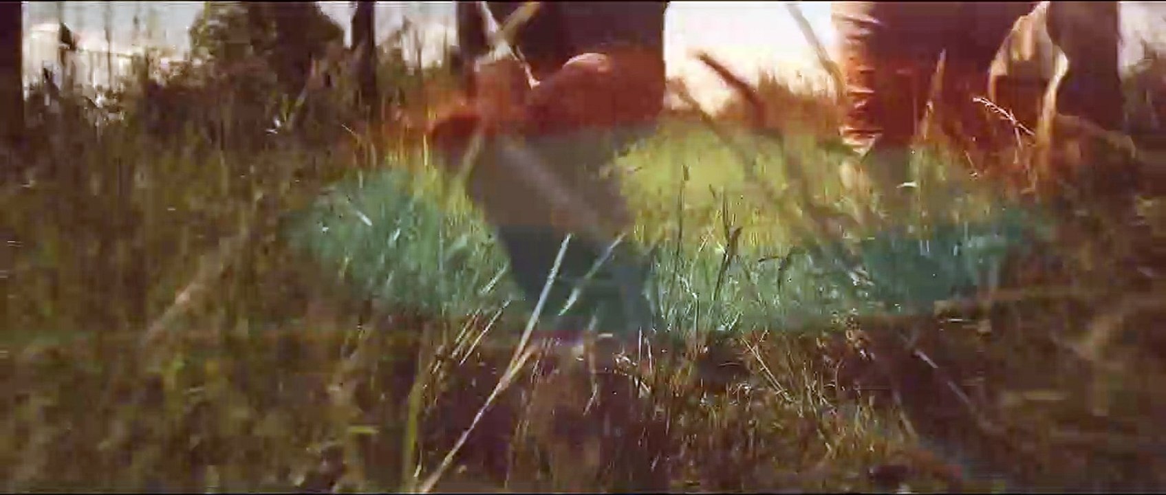 Ellie Goulding - Burn