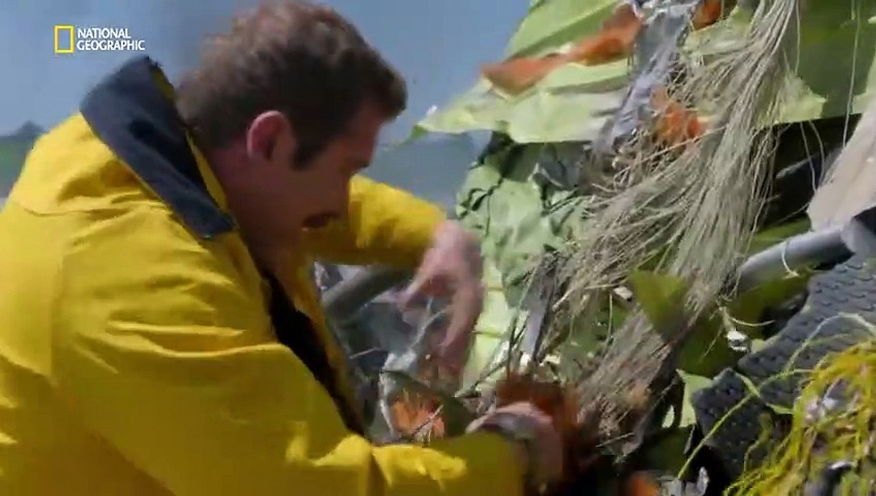 Air Crash Investigation - Se19 - Ep01 HD Watch HD Deutsch