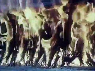 Monkey Magic - Ep30 HD Watch HD Deutsch