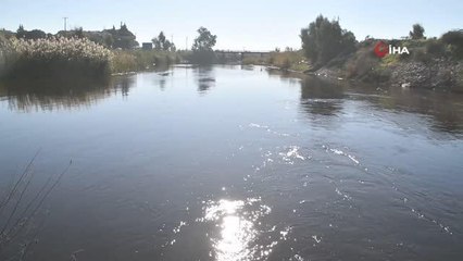 Télécharger la video: Büyük Menderes Nehri kirliliğine Bakanlık el attı