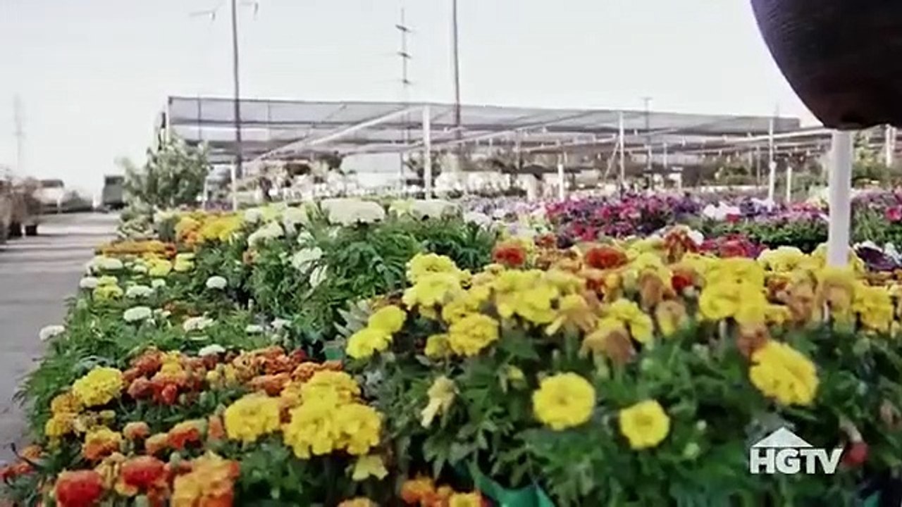 Hidden Potential (2018) - Se2 - Ep13 - The Prettiest House on the Block HD Watch HD Deutsch