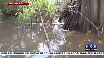 ¡Tras mermar la lluvia! Baja nivel del agua en zonas inundadas de Puerto Cortés