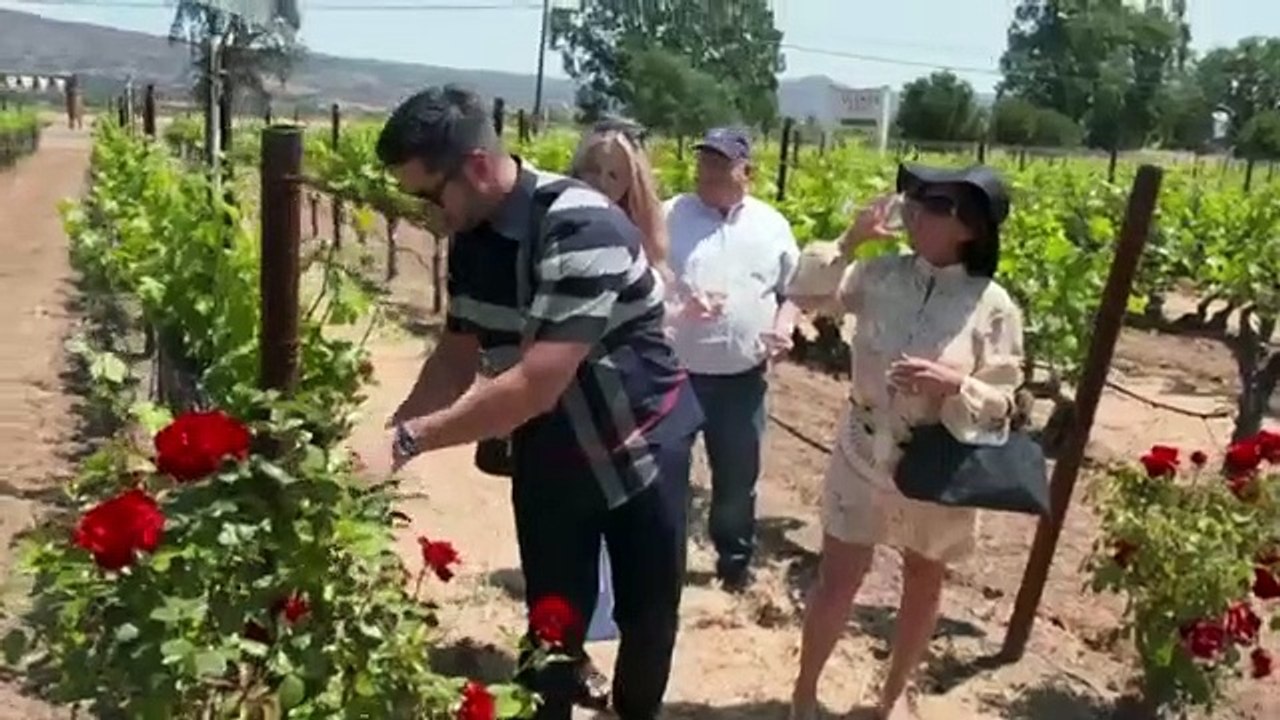 I Love a Mama's Boy - Se2 - Ep01 - Complete Dominion HD Watch HD Deutsch