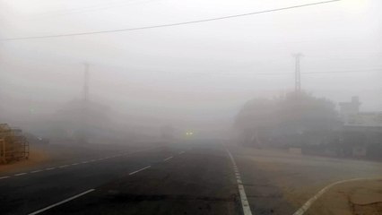 कोहरे की चादर में लिपटे सड़क व रेलमार्ग, वाहनों की गति थमी