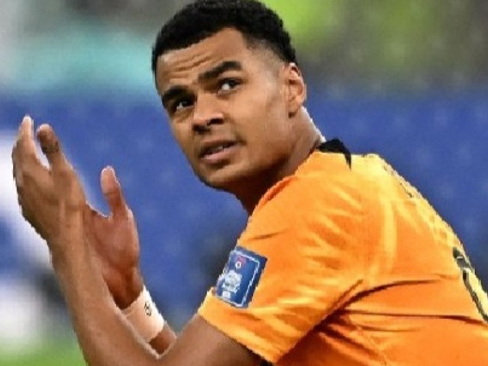 Rekord-transfer: cody gakpo wechselt zum fc liverpool