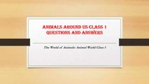 Animals Around Us Class 1 Questions and Answers