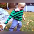 These cute and funny videos of dogs and babies