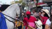 Desfile multitudinario muestra la cultura del caballo en Costa Rica
