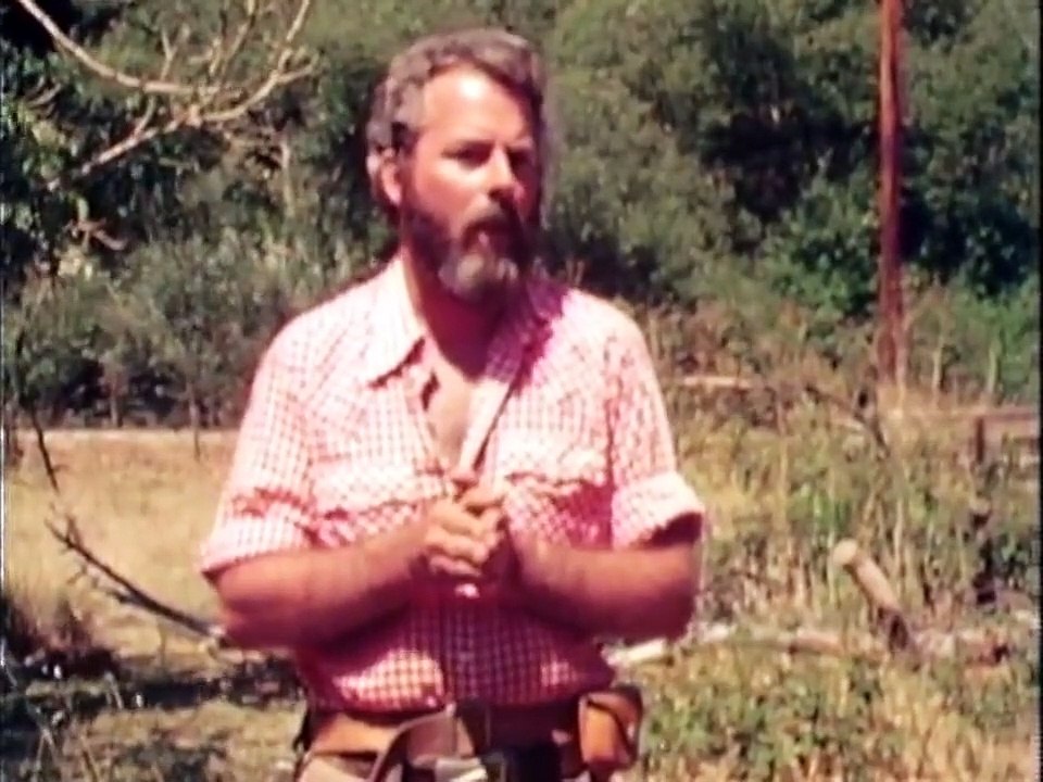 In Search of... - Se4 - Ep14 HD Watch HD Deutsch