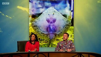 QI XL - Se19 - Ep09 HD Watch HD Deutsch