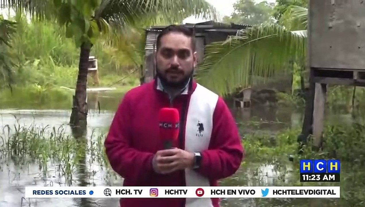 ¡Tras lluvias! Anegadas permanecen viviendas en sectores de Puerto Cortés