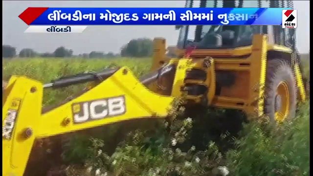 ખર્ચના પ્રમાણમાં પણ નથી મળતા ભાવ