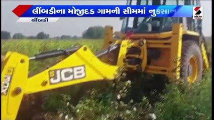 ખર્ચના પ્રમાણમાં પણ નથી મળતા ભાવ