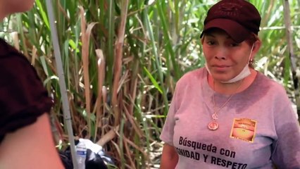 Vice - Se6 - Ep25 - Death Inc. $$ Bannon's World HD Watch HD Deutsch