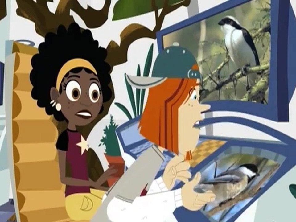 Wild Kratts - Se3 - Ep10 HD Watch HD Deutsch