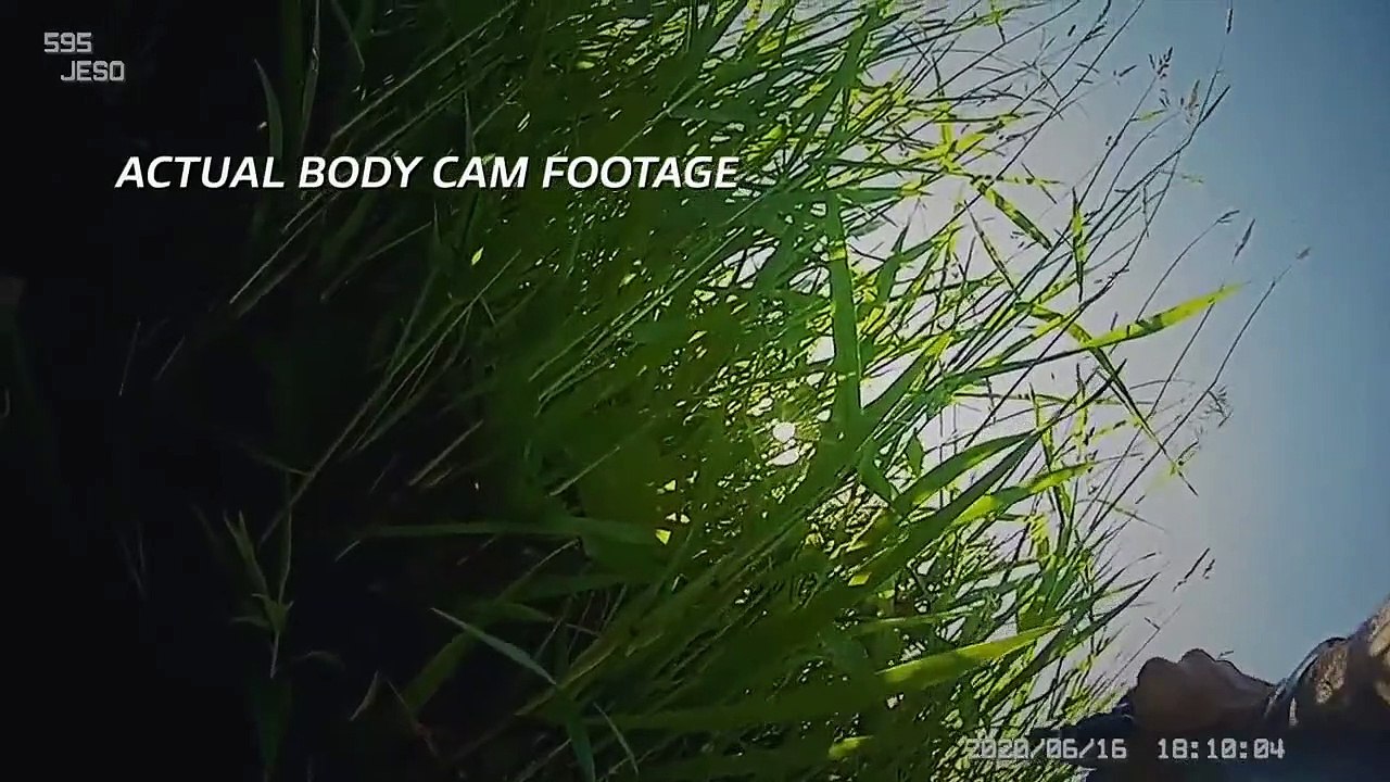 In Pursuit with John Walsh - Se3 - Ep08 - Bad Blood HD Watch HD Deutsch