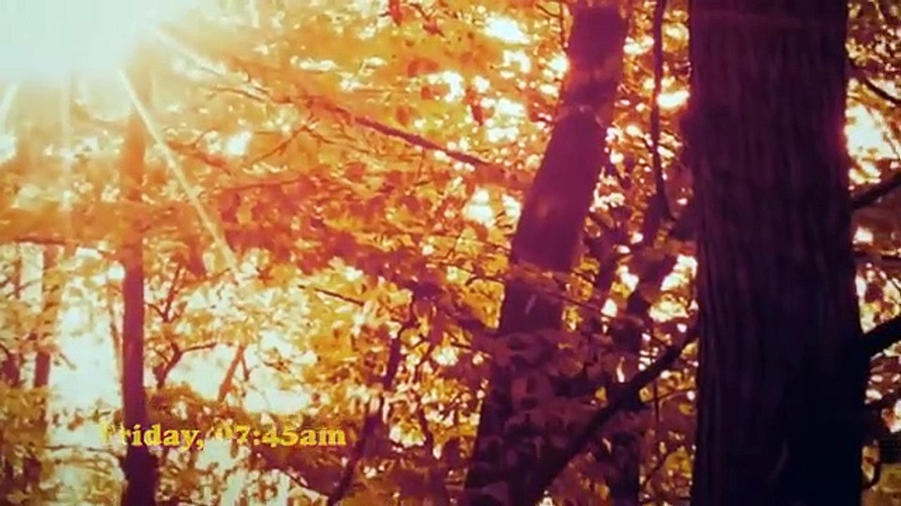 Agent - Se1 - Ep05 HD Watch HD Deutsch