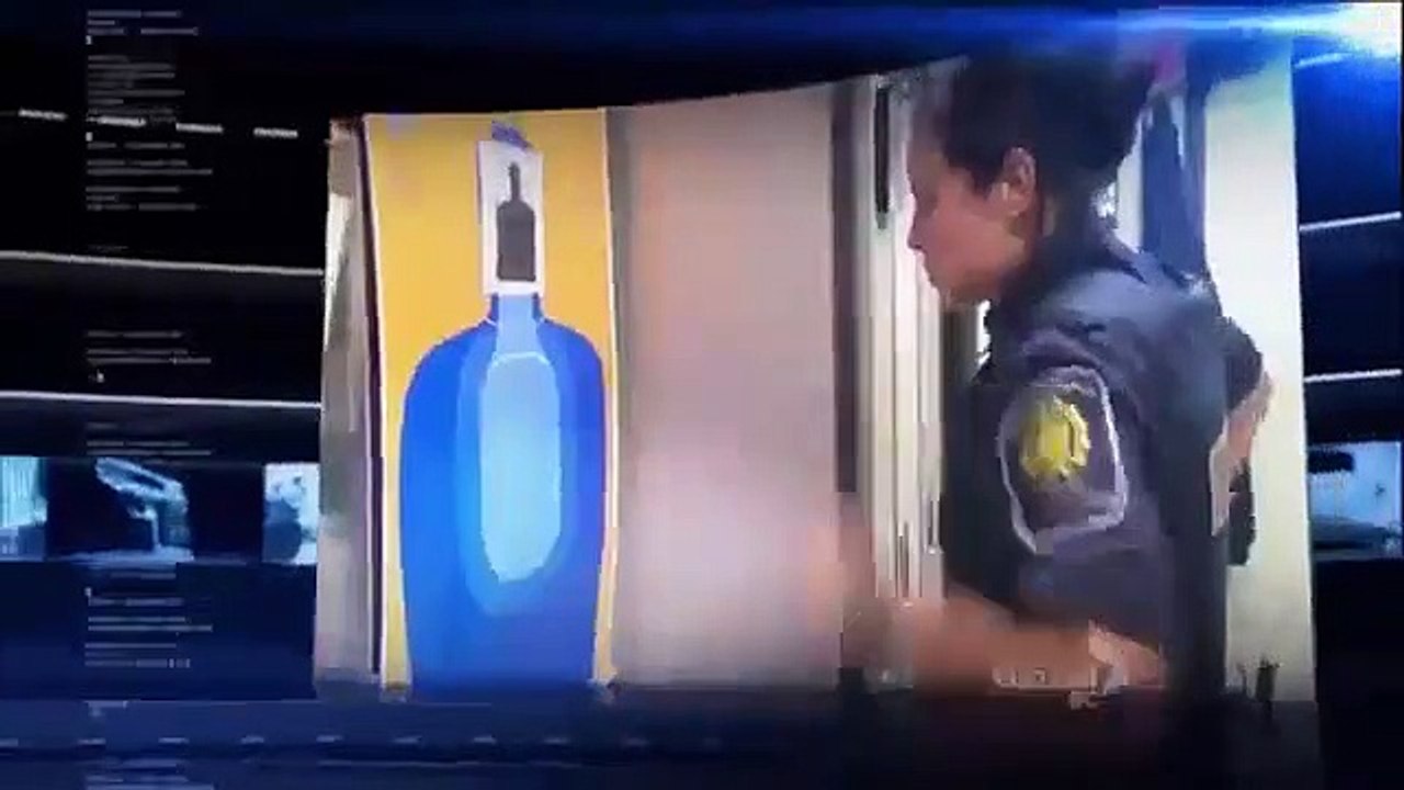 Border Security - Canada's Front Line - Se1 - Ep13 HD Watch HD Deutsch