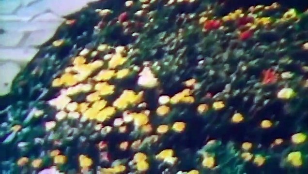 American Playboy - The Hugh Hefner Story - Se1 - Ep08 - Se-'x, Drugs and DEA Investigations HD Watch HD Deutsch