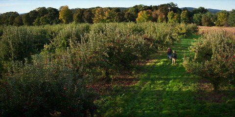 Living with Yourself - Se1 - Ep02 HD Watch HD Deutsch