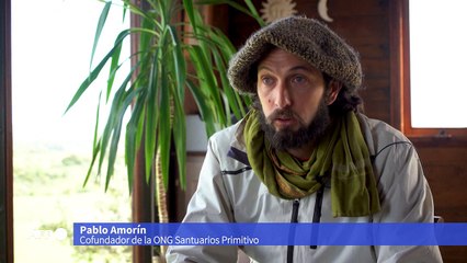 ONG sale al rescate de caballos en Uruguay para evitarles el matadero