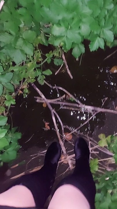 Locked Out of The House