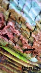 Extereme tapping Rubber forest wild