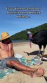 Jovenes interactuaron con el ave más peligrosa del mundo sin saberlo