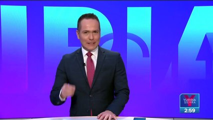 Iguanas congeladas caen de los árboles en Florida