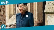 La reine Camilla et le prince Louis très proches : leur complicité va vous faire fondre