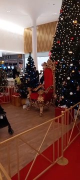 Christmas Decoration in Grenoble Noël en France #Noël #noel #christmas2022 #christmasdecor #decoration #christmas #france (12)