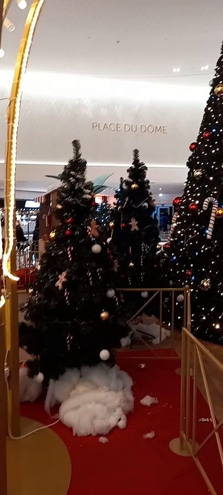 Christmas Decoration in Grenoble  Noël   en France #Noël #noel #christmas2022 #christmasdecor #decoration #christmas #france (14)