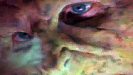The Outer Limits Season 4 Episode 21 Promised Land