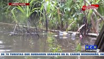 Pobladores de Puerto Cortés piden ayuda a las autoridades tras ser afectados por las lluvias