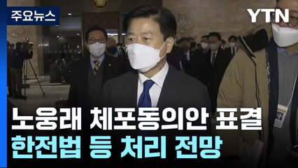 오늘 노웅래 체포동의안 표결...한전법 등 비쟁점법안 처리 / YTN