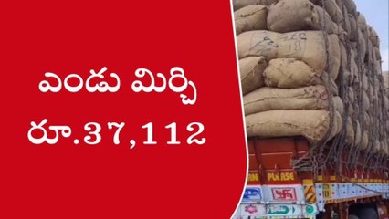కర్నూలు: మిర్చి రైతులకు కాసుల వర్షం... ఆల్ టైమ్ రికార్డు రేటు!