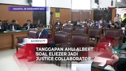 Status Justice Collaborator Richard Eliezer, Ini Kata Ahli Albert..