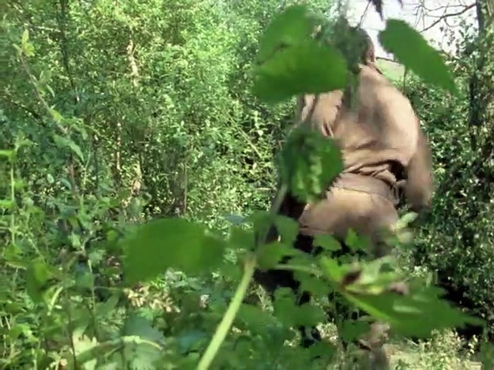 Die Profis S01E06-Wo endet der Dschungel