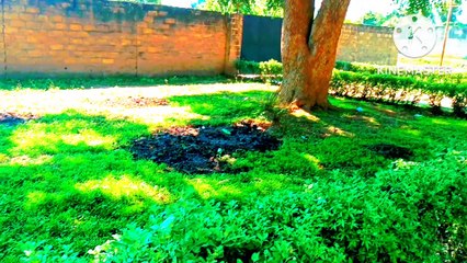 Myfirstvlog, #vlog, viralvlog