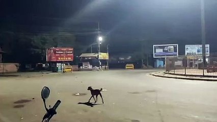 रात का सन्नाटा, पुलिस गश्त को लगी सर्दी...