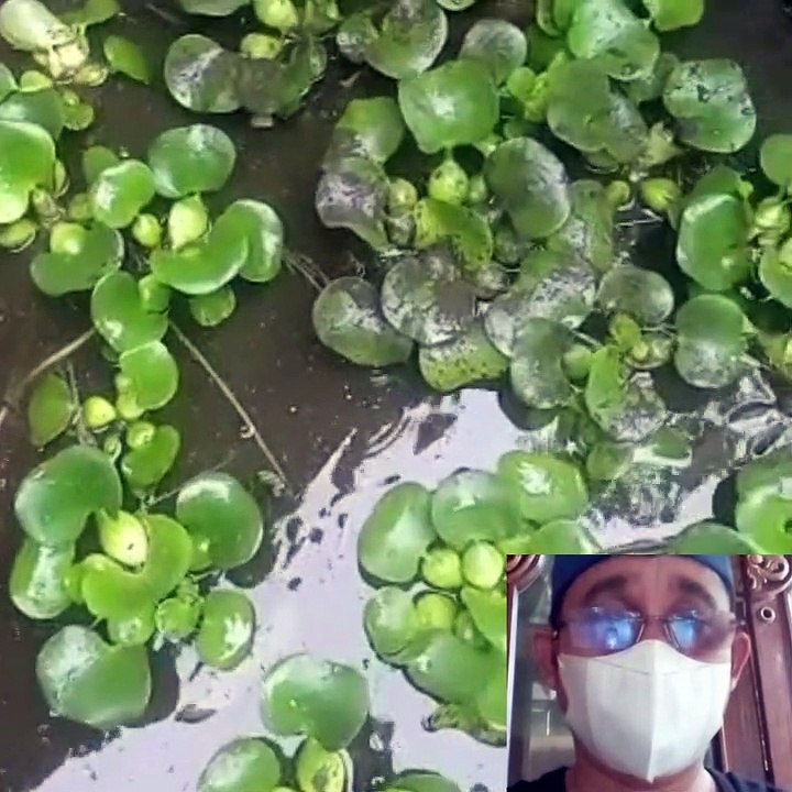 It's also difficult to catch this fish, it just looks tame It's also difficult to catch this