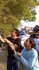 Sekretariat CROSSER , Mountain And Jungle Organization