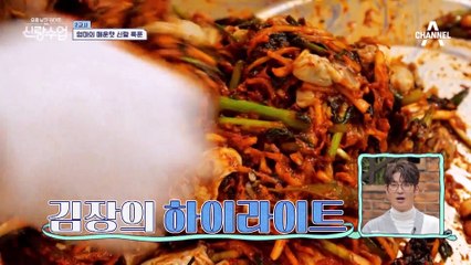 [선공개] ☆영롱 그 잡채★ 리얼 밥도둑 김장 굴 겉절이와 수육