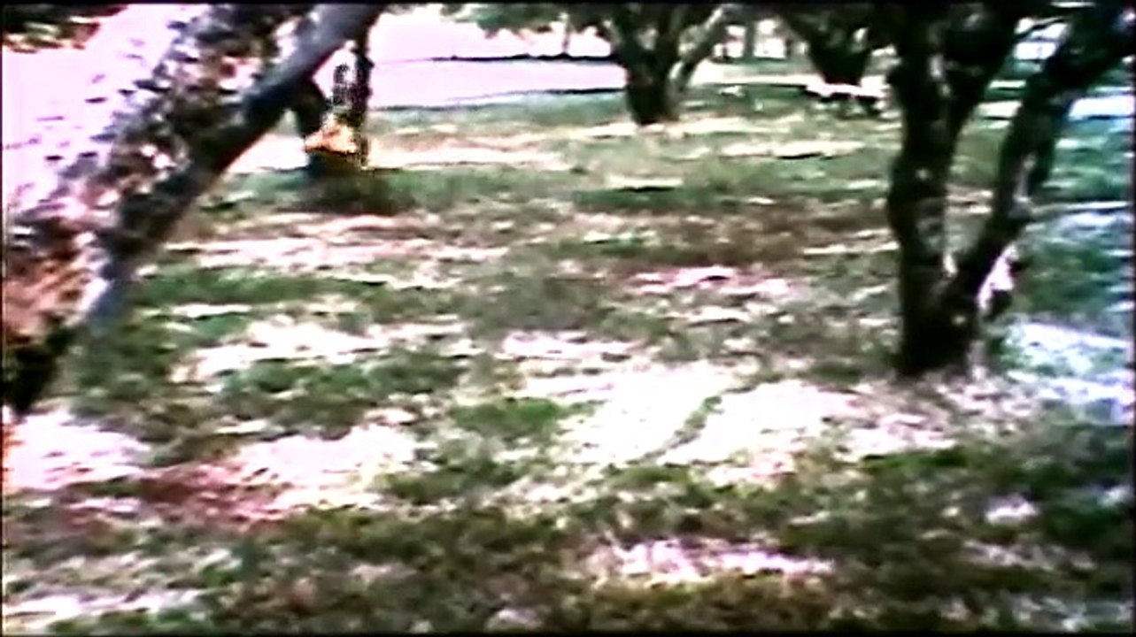 Laila Majenun | Indonesian Old Movie