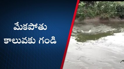 నెల్లూరు జిల్లా: అలర్ట్ అలర్ట్... మేకపోతు కాలువకు గండి